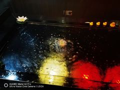 -新盈光·云会所(百丈东路店)
