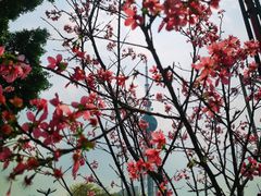 -文华公园(禅城区)