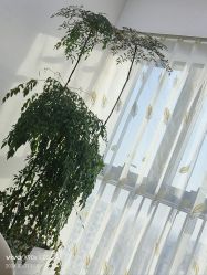 -HEYAN荷妍专业脱毛连锁机构