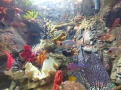 -太平洋海底世界