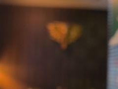 -怡泰SPA·泰疗按摩(徽宁路店)
