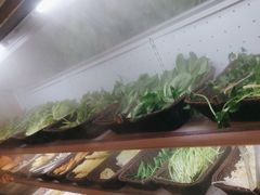 -锅儿欢海鲜火锅烤肉自助餐(东港凯虹店)