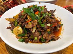 -柴窝堡22号辣子鸡·传承新疆菜