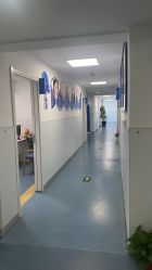 -温州伯思立医院