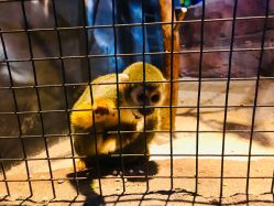 -酷嗒动物文化乐园(cutezoo西溪乐天城店)