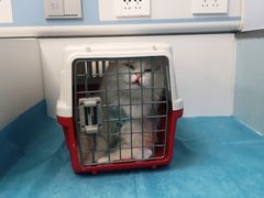 -纳吉亚猫专科动物诊疗中心(蒋宅口分院)