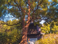 -惠山古镇·寄畅园