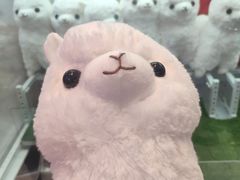 -LLJ夹机占(清河万象汇店)