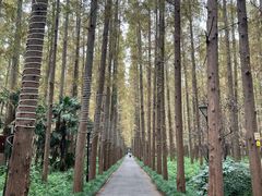 -上海怡沁园度假酒店