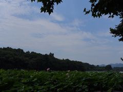 -北山街历史文化街区