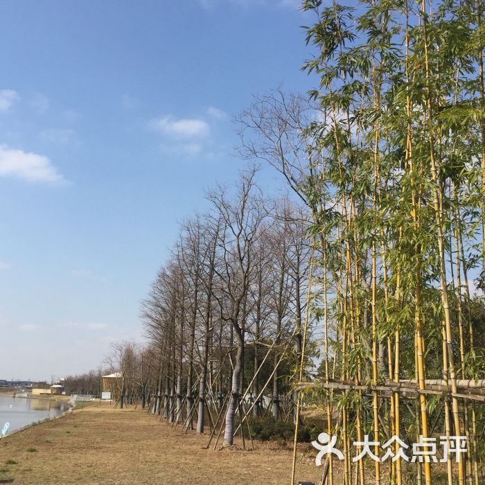 华翔绿地图片 第107张