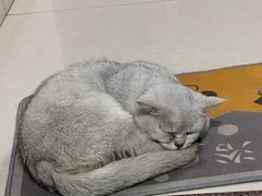-青岛德国总督楼旧址博物馆