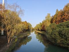 -贡湖湾湿地公园