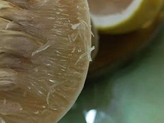 -柳周农家菜特色老店沙田柚美食(东大街店)