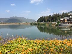 -蔺大妈松花糕