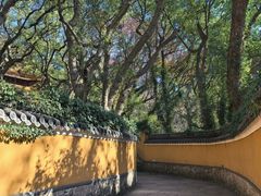 -普陀山风景名胜区-法雨禅寺