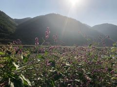 -大连天门山国家森林公园