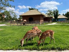 -祥源·阜阳生态乐园