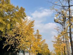 -四川大学(望江校区)