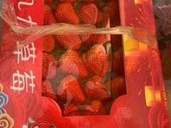 -红星农博物流中心