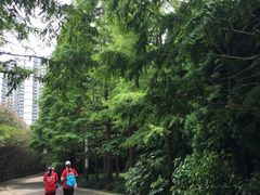 -苏州河梦清园环保主题公园