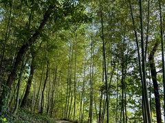 -天目湖涵田度假村