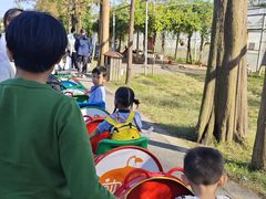 -前小桔亲子创意农场·草莓采摘·露营烧烤