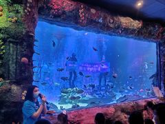 -沈阳海洋探索中心