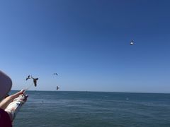 -海驴岛(荣成市)