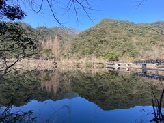 -宁海森林温泉