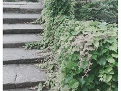 -韩湘水博园
