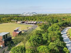 -春花秋色城市公园