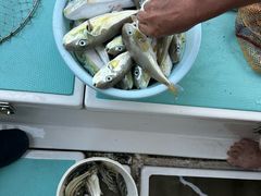 -鑫艋游艇海钓俱乐部