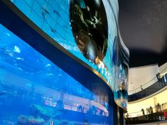 -迪拜水族馆及水下动物园