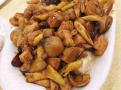八珍豆腐-奥华餐厅·老张记(台基厂店)