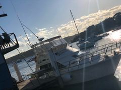 -沃森湾