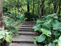 android_upload_pic-火炉山森林公园