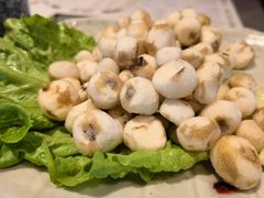 小马蹄-同仁四季椰子鸡(宝安壹方城店)