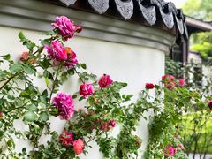 -杭州西湖柳莺里酒店