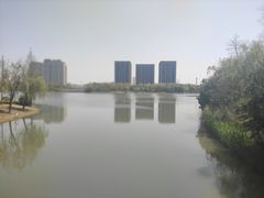 -南翔镇银翔湖公园
