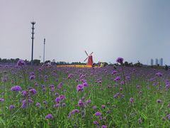 -烟台金沙滩海滨公园
