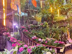 -正佳雨林生态植物园
