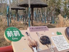 -武汉动物园
