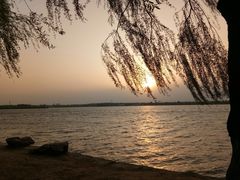 -丁香湖公园