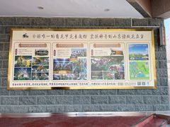 -诸城市恐龙博物馆