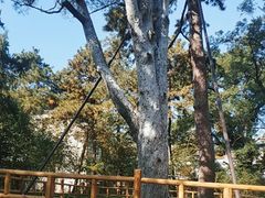 -香山公园