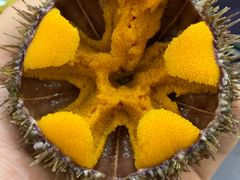 -HIHE Bistro·Oyster Bar(华熙live店)