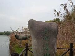 -溱湖国家湿地公园