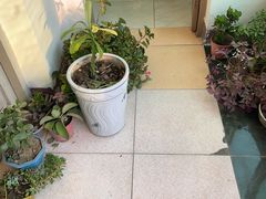 -乐汤汇温泉生活馆(海港区店)