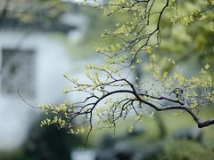 -东莞观音山旅游风景区